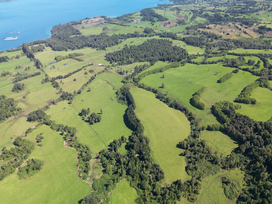Vista aérea amplia de campos, caminos y sectores arbolados